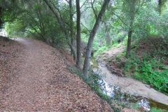 Aliso and Wood Canyons