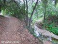 Aliso and Wood Canyons