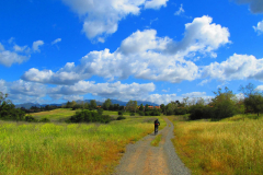 Arroyo / Trabuco / Tijeras Loop
