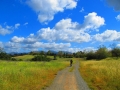 Arroyo / Trabuco / Tijeras Loop