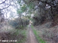 Backbone Trail