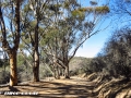 Backbone Trail