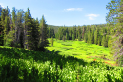 Cannell Trail