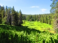 Cannell Trail