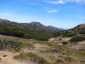 catalina_img_2871