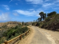 catalina_img_2889