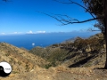 catalina_img_3412