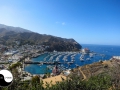 catalina_img_3428
