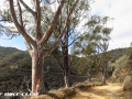 catalina_img_3644