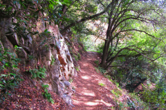 Chantry to Mt Zion Loop