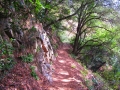 Chantry to Mt Zion Loop