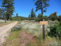 Hurkey Creek