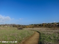 Irvine Open Space