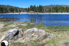 Laguna Meadows