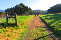 Limestone Canyon