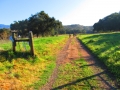 Limestone Canyon