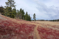 Noble Canyon