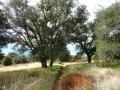 Noble Canyon