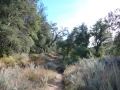 Noble Canyon