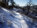 Noble Canyon