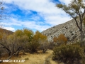 Palm Canyon