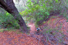San Clemente Singletracks