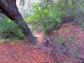 San Clemente Singletracks