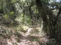 San Juan Trail