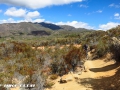 san_juan_trail_img_3506
