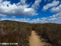 san_juan_trail_img_3512