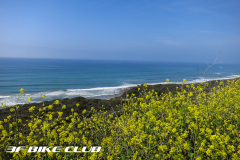 San Onofre State Beach