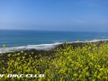 San Onofre State Beach