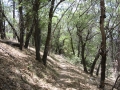 Santa Ana River Trail