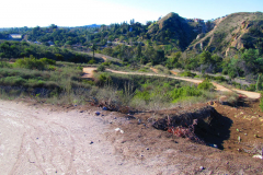 Santiago Oaks