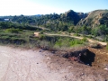 Santiago Oaks