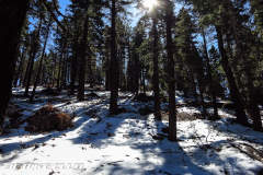 Skyline to Pine Knot