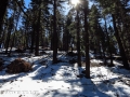 Skyline to Pine Knot