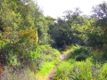 Trabuco Canyon