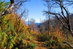 Valley Forge to Chantry