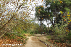 Whiting Ranch to the Luge