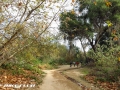 Whiting Ranch to the Luge
