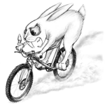 Bunny-Bike-250-250