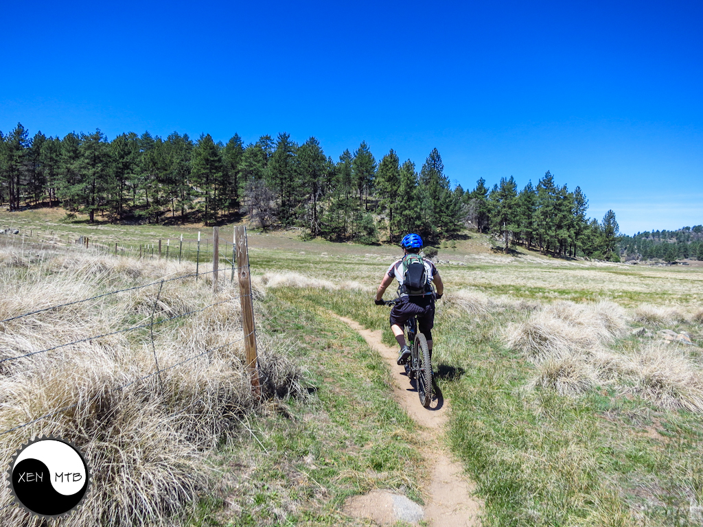 Laguna Meadows Southern California Guided Mountain Biking Tours