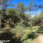 Whiting Ranch to the Luge