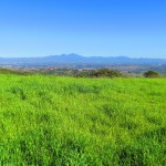 Aliso-and-Wood-Canyons