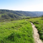 Aliso-and-Wood-Canyons