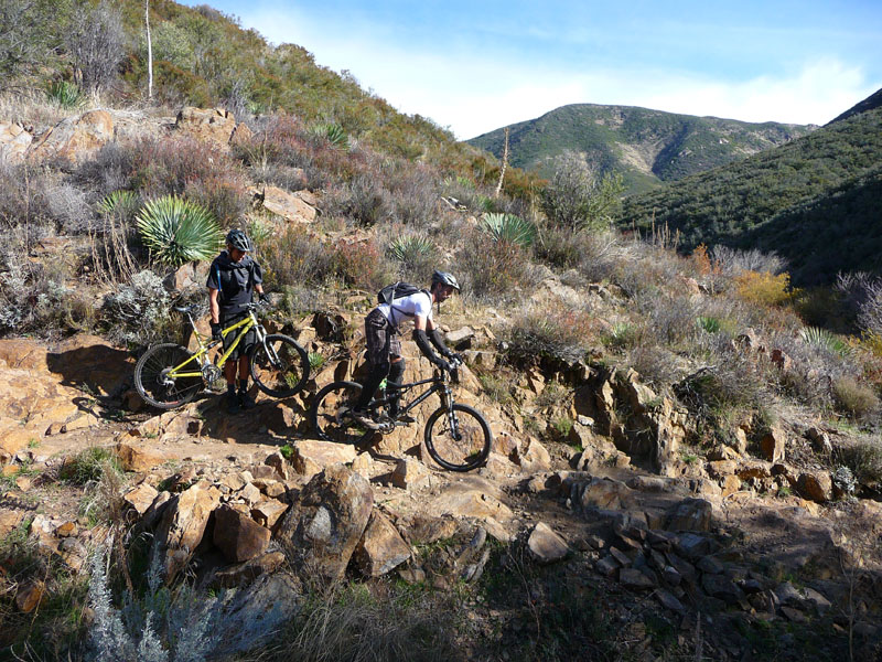 Noble Canyon - Southern California Guided Mountain Biking ...
