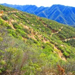 San-Juan-Trail