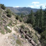 Santa-Ana-River-Trail